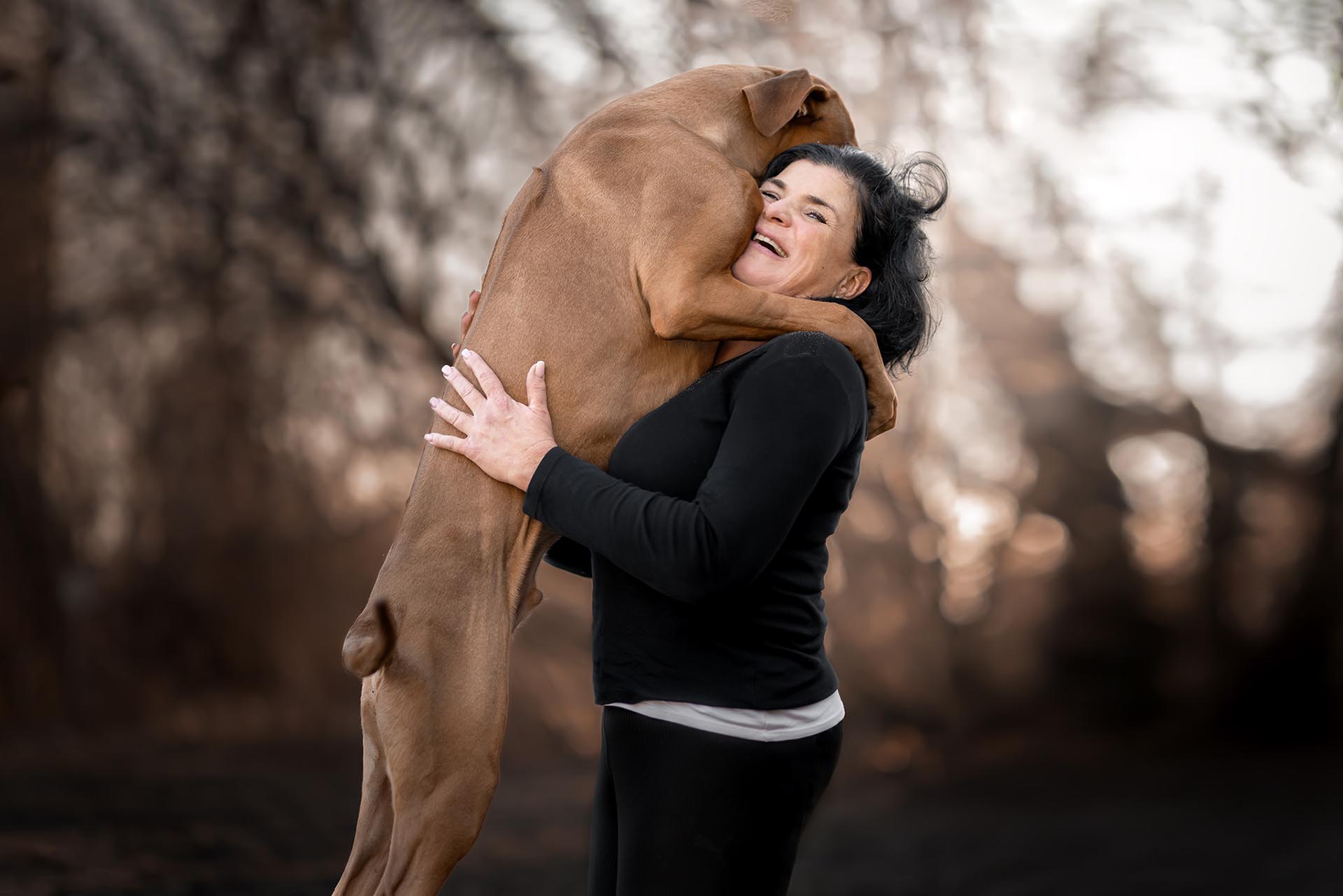 Rhodesian Ridgeback