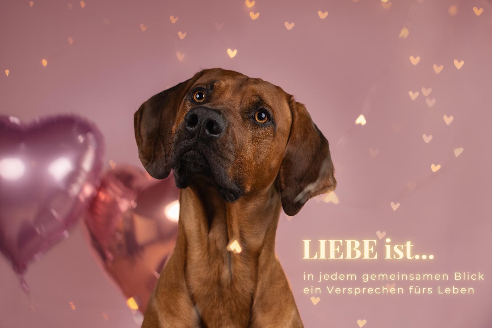 SHOOTINGS Geburtstag und Feste SHOOTINGS Geburtstag und Feste
