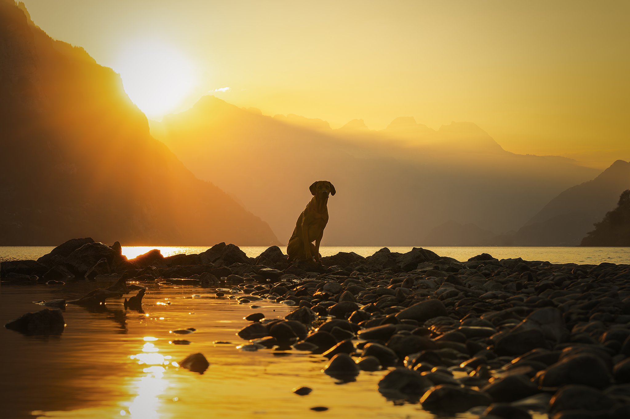 Mein Ausflug zum Walensee